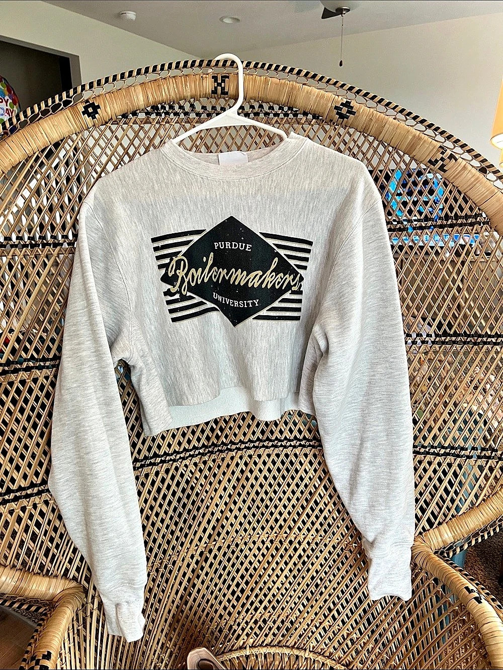 Champion Cropped Logo Sweatshirt in Gray Small Like New